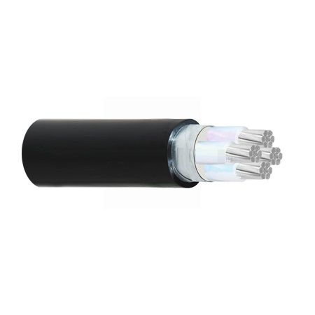 Dây cáp điện Cadivi AXV/DSTA-3×10+1×6 mm2 – 0.6/1kV